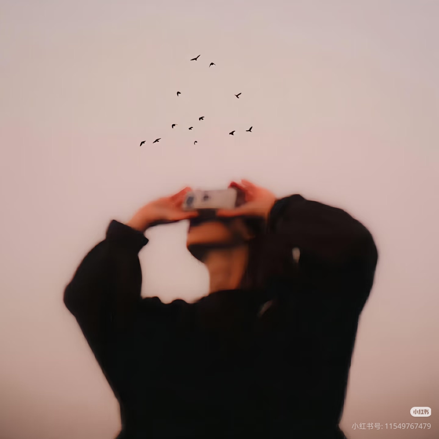 插画